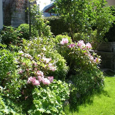 Haus Pircher Bed & Breakfast