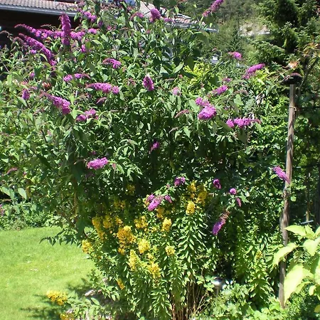 Bed & Breakfast Haus Pircher *