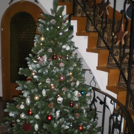 Bed & Breakfast Haus Pircher